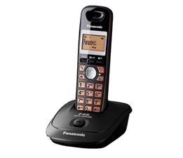 تلفن بی سیم پاناسونیک KX-TG3551 